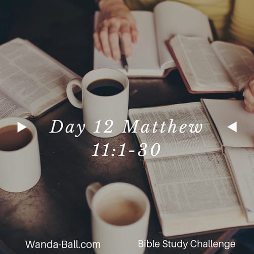 day-12-matthew-11-1-30
