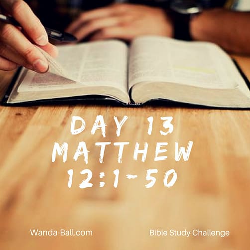 day-13-matthew-12-1-50