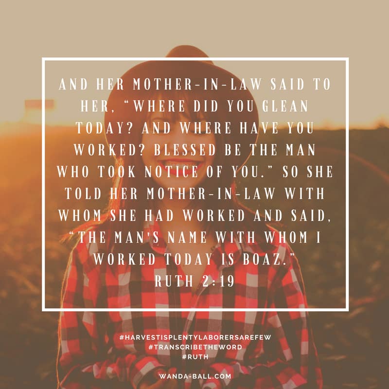 Harvest is plenty Ruth 2-19