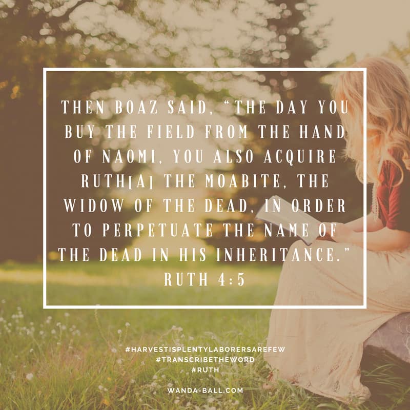 Harvest is plenty Ruth 4-5