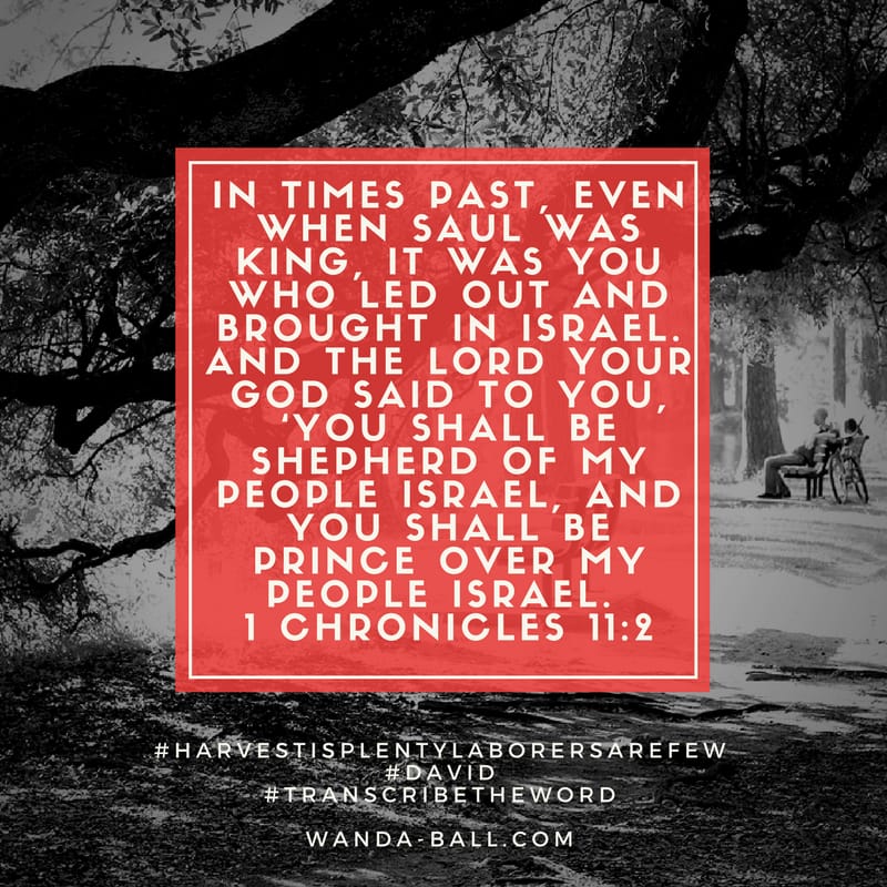 harvest is plenty 1 chron 11-2 David