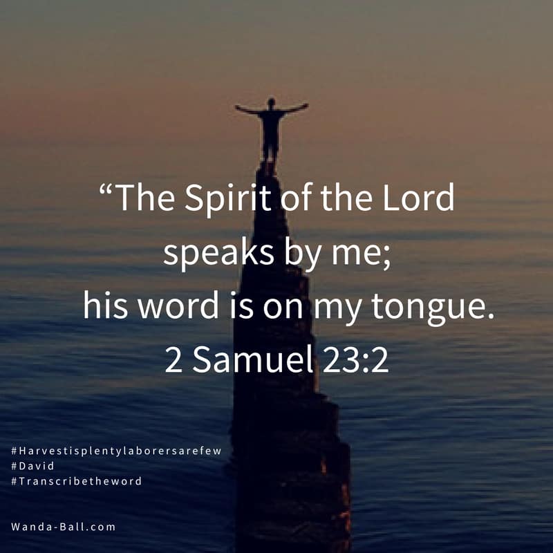 harvest is plenty 2 sam 23-2 David