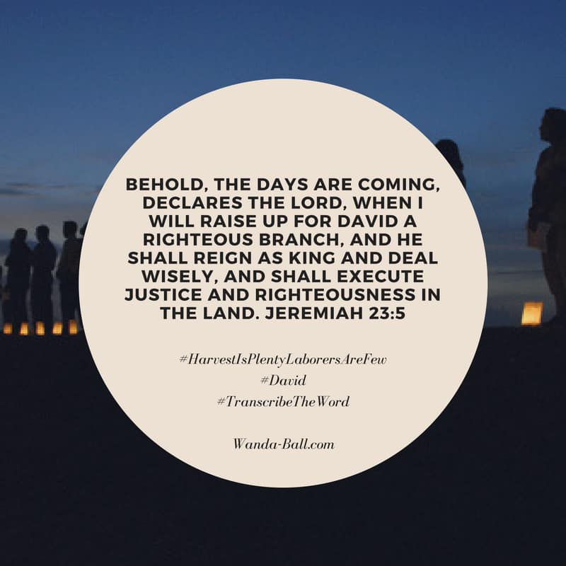 harvest is plenty jeremiah 23-5 David
