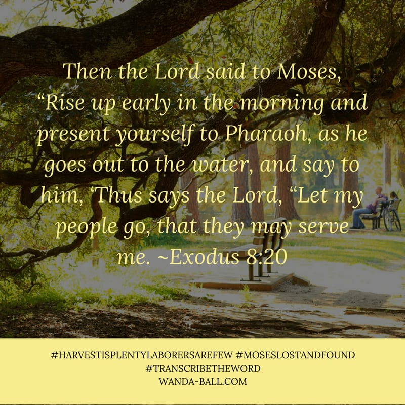 moses lost and found Exodus 8:20
