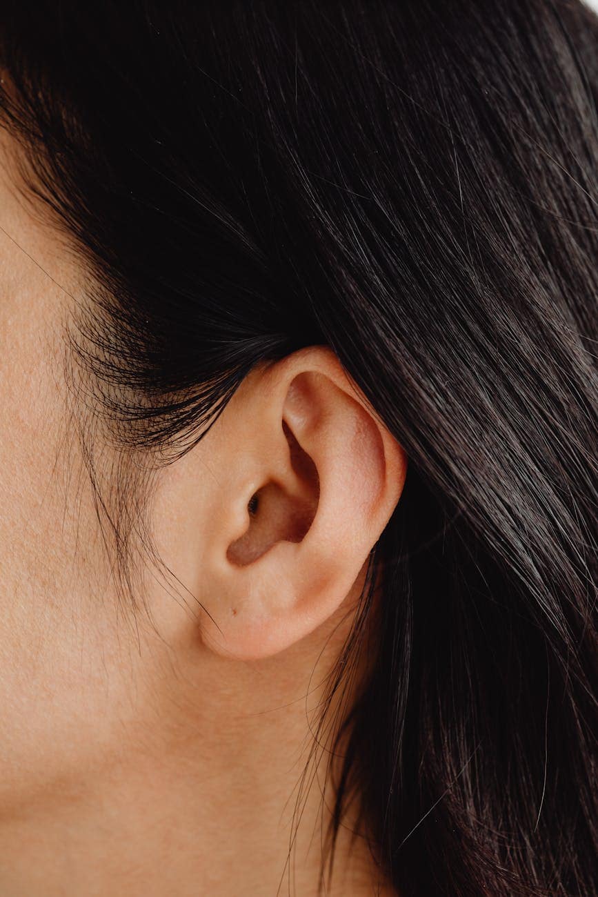 close up photo of a person s ear