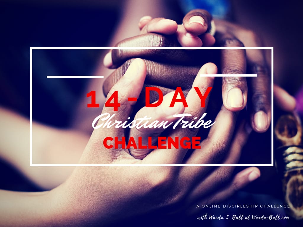 14 day christian tribe challenge