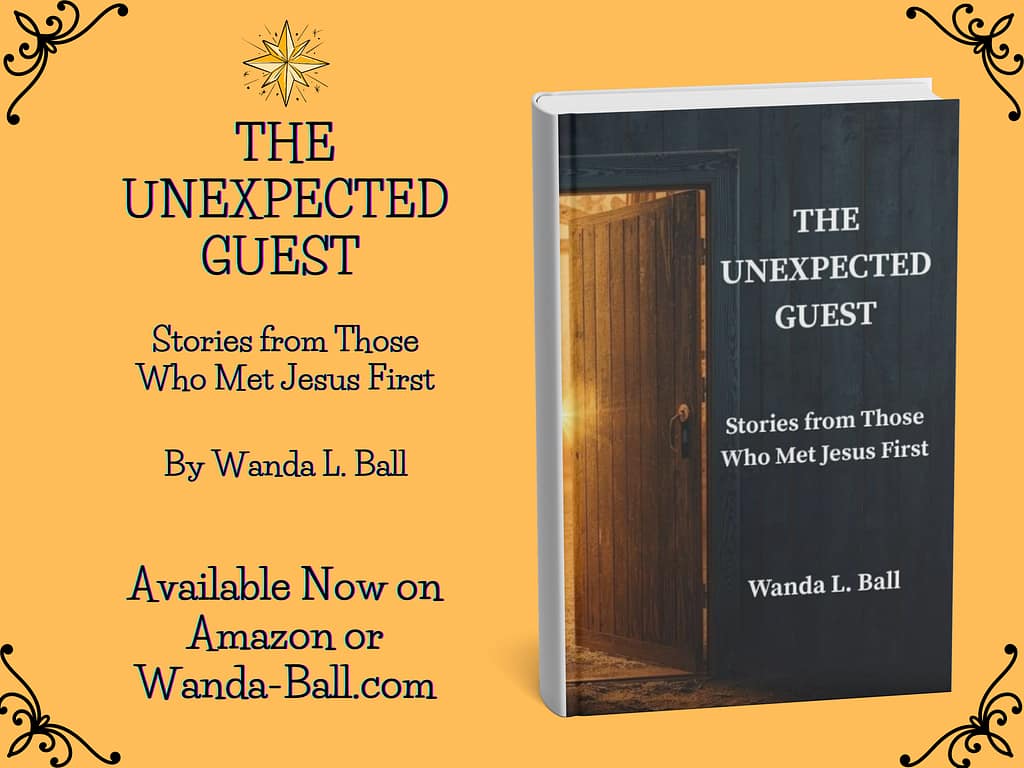 The Unexpected Guest Christmas Book