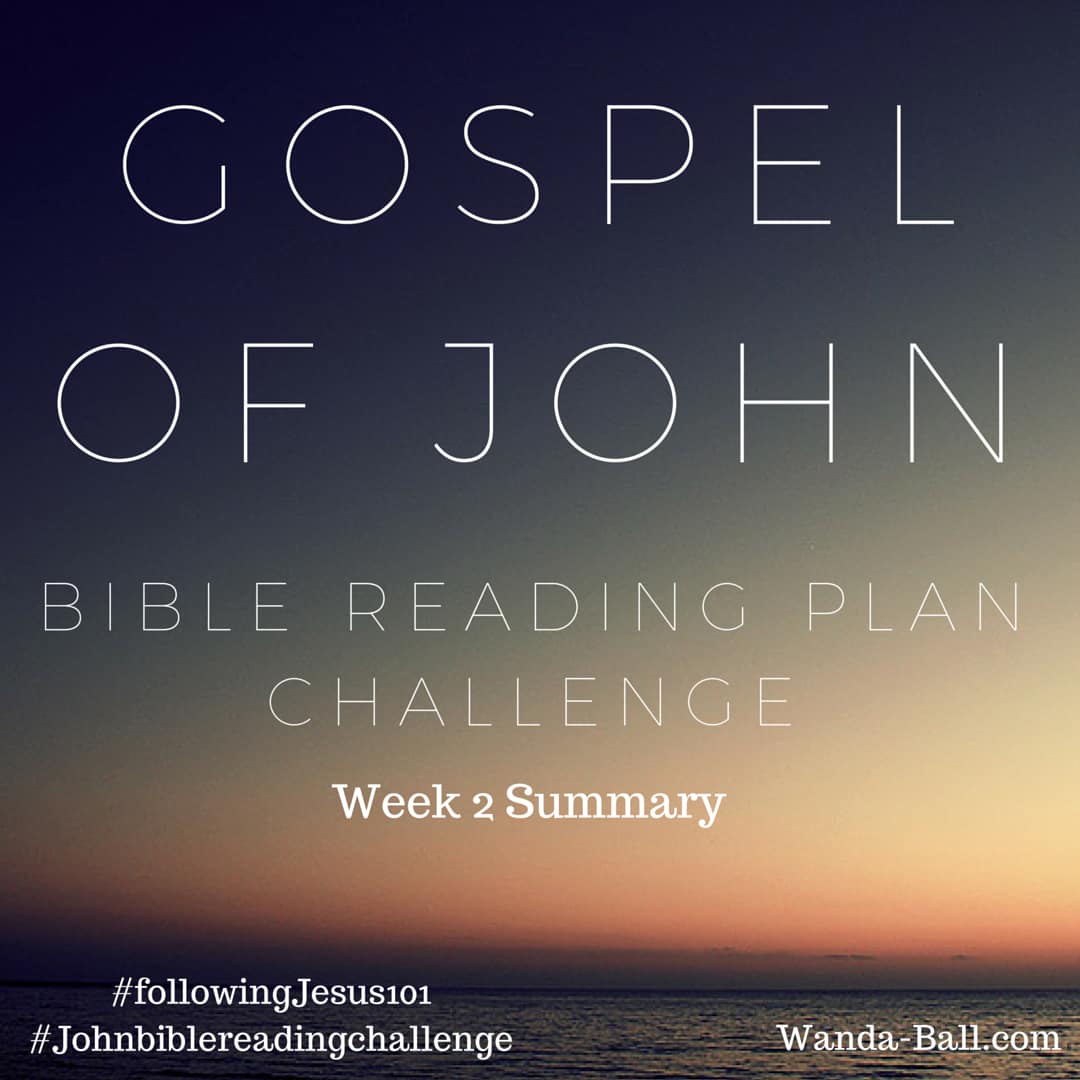 Gospel of John: Bible Reading Plan Challenge Week 2
