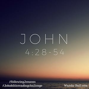John 4-28-54