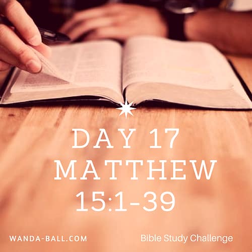 day-17-matthew-15-1-39