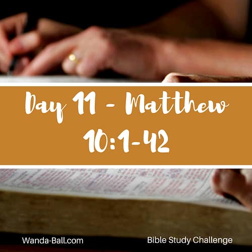 matthew-10-1-42