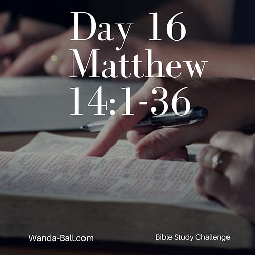 day-16-matthew-14-1-36