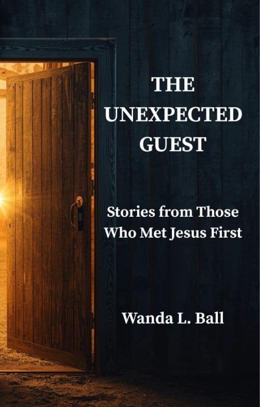 The Unexpected Guest