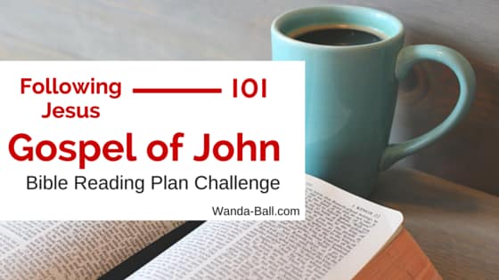 Following Jesus 101 – Gospel of John Bible Reading Plan Challenge Intro
