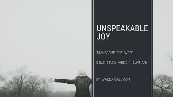 Unspeakable Joy week 4 summary