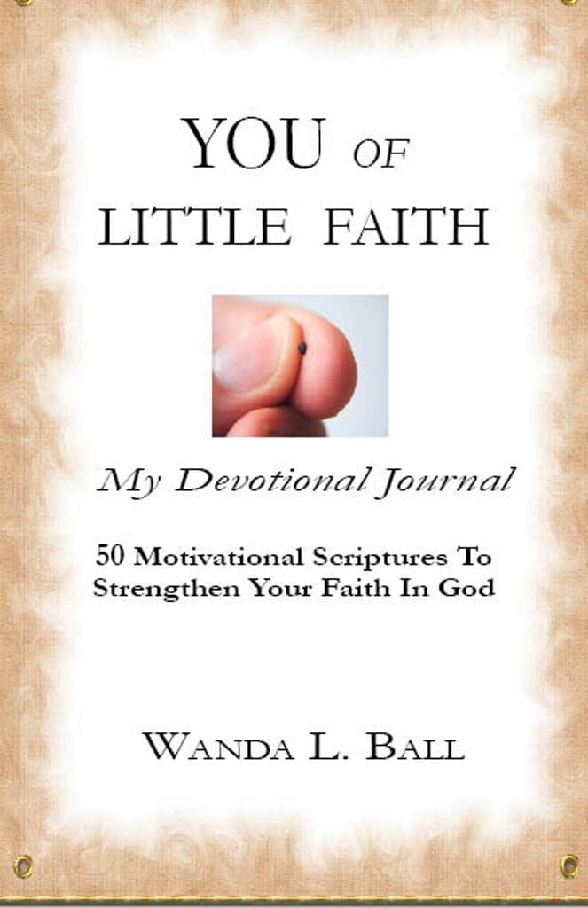 You Of Little Faith cover