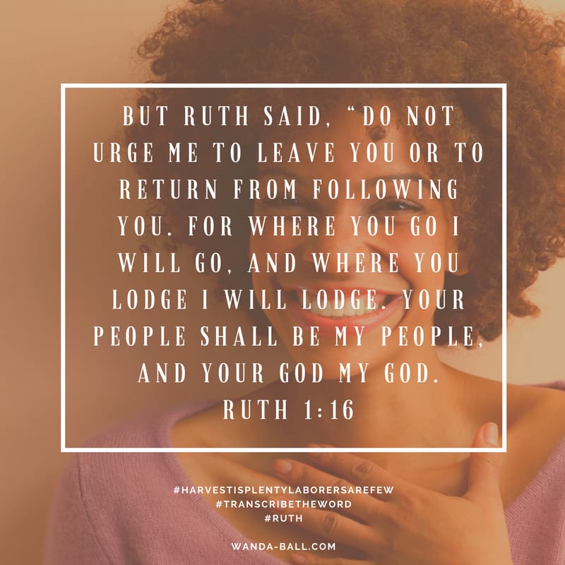 Harvest is plenty Ruth 1-16