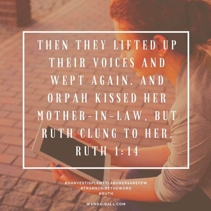 Harvest is plenty Ruth 1:14