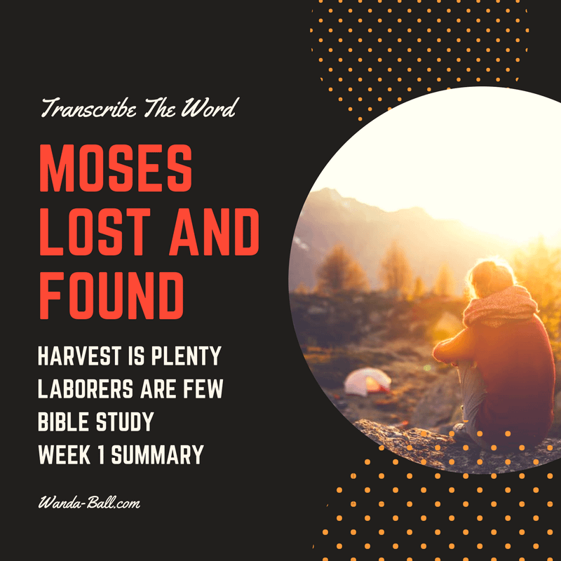 Moses lost and found week 1 summary
