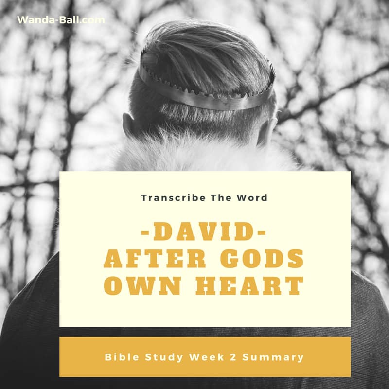 Transcribe The Word: David – After Gods Own Heart – Bible Study Week 2 Summary