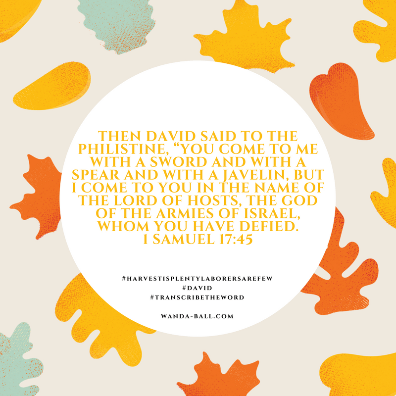harvest is plenty david 1 sam 17-45