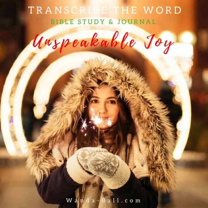 Unspeakable Joy Blog Pic