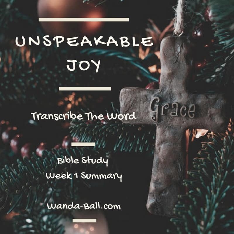 Unspeakable Joy Week 1 summary