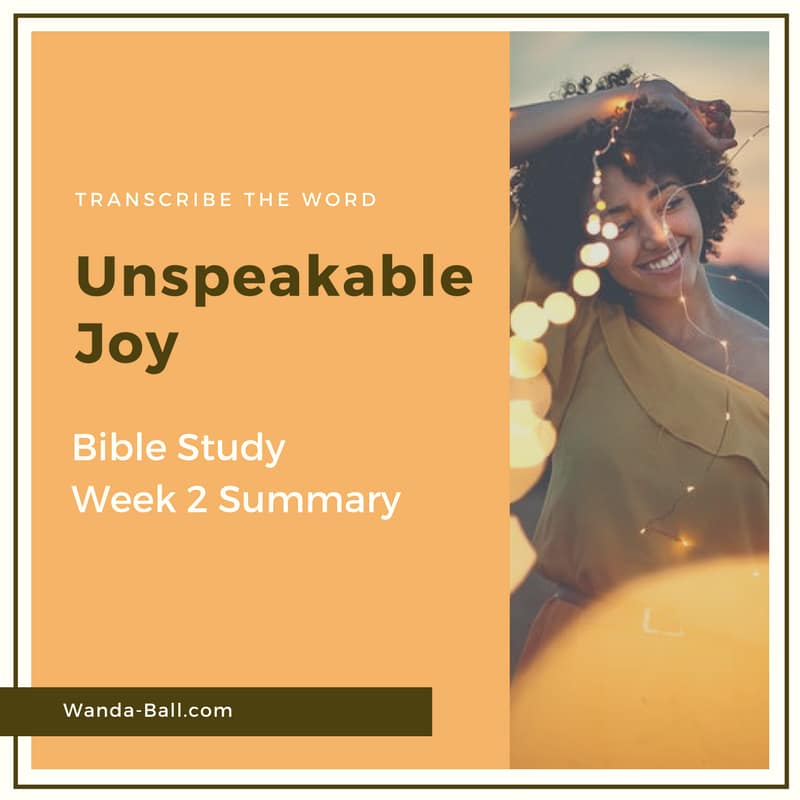 Unspeakable Joy week 2 summary