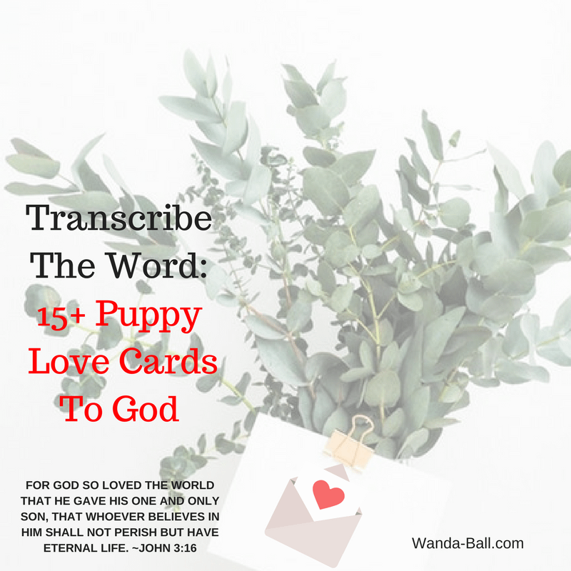 Transcribe The Word_15+ Puppy Love Cards To God Cover