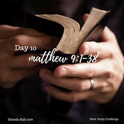 matthew-9-1-38